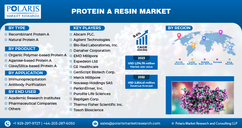 Protein A Resin Market Size